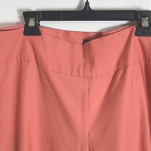 New Direction Coral Curvy Ankle Pants, Size 18W - Picture 2 of 6